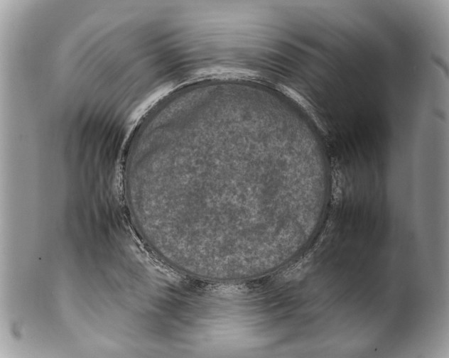 X0000099511074200806051141