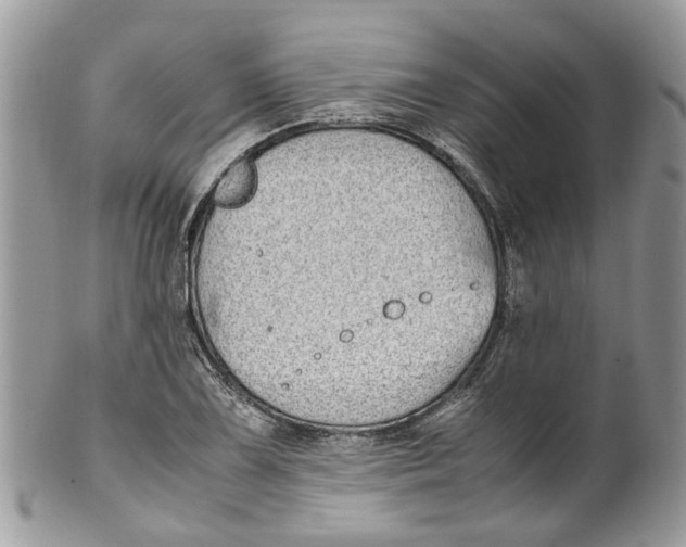 X0000099511075200806051141