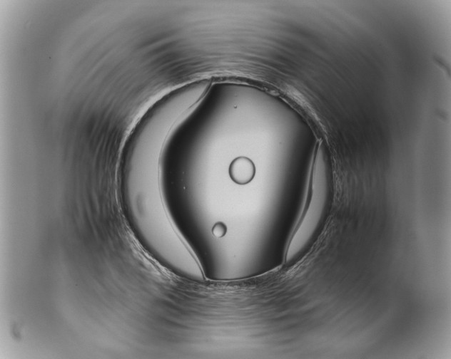 X0000099511076200806051141