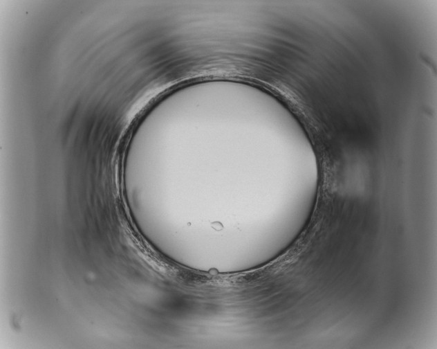 X0000099511078200806051141