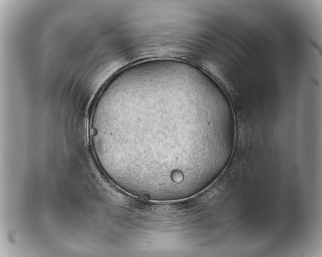 X0000099511079200806051141