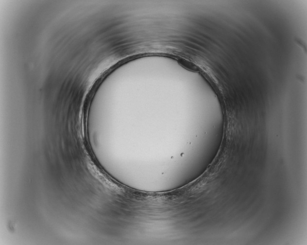 X0000099511080200806051141