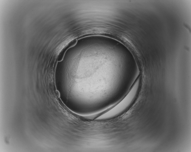 X0000099511081200806051141