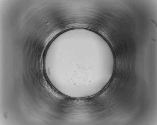 X0000099511082200806051141