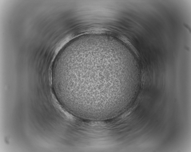 X0000099511083200806051141