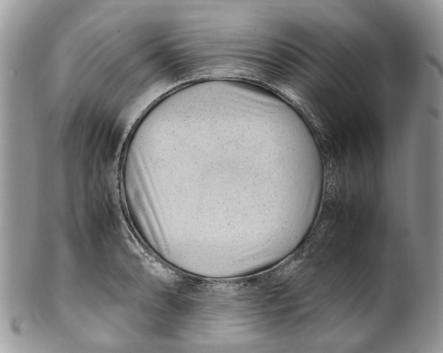 X0000099511086200806051141