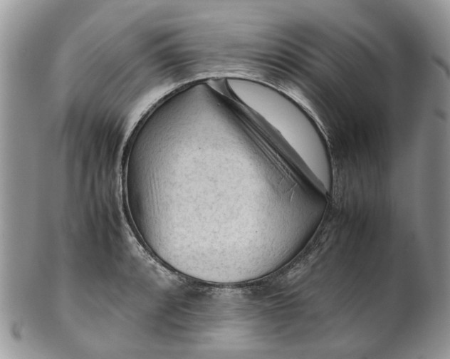 X0000099511088200806051141