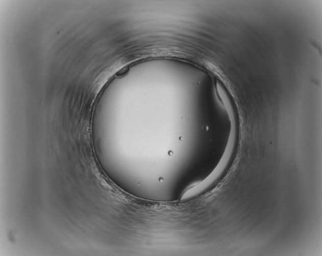 X0000099511089200806051141