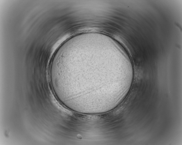 X0000099511090200806051141