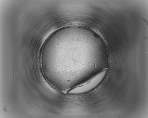 X0000099511091200806051141