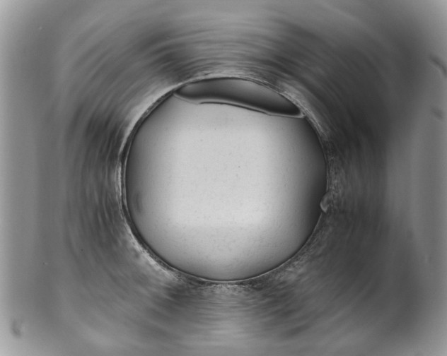 X0000099511092200806051141