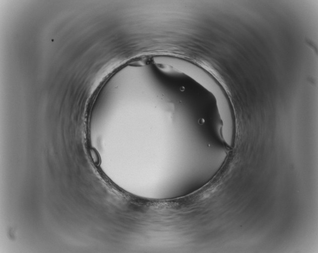 X0000099511093200806051141