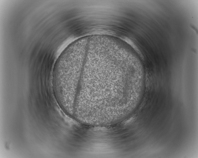 X0000099511094200806051141