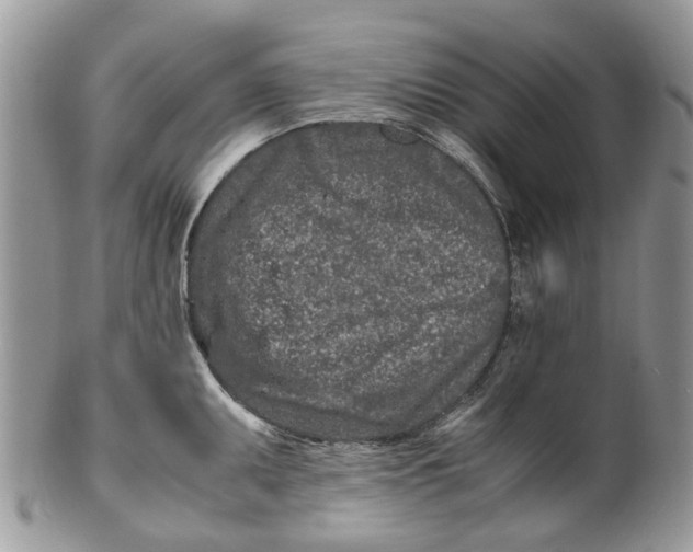 X0000099511095200806051141