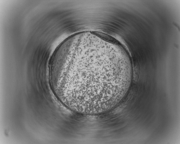 X0000099511096200806051141