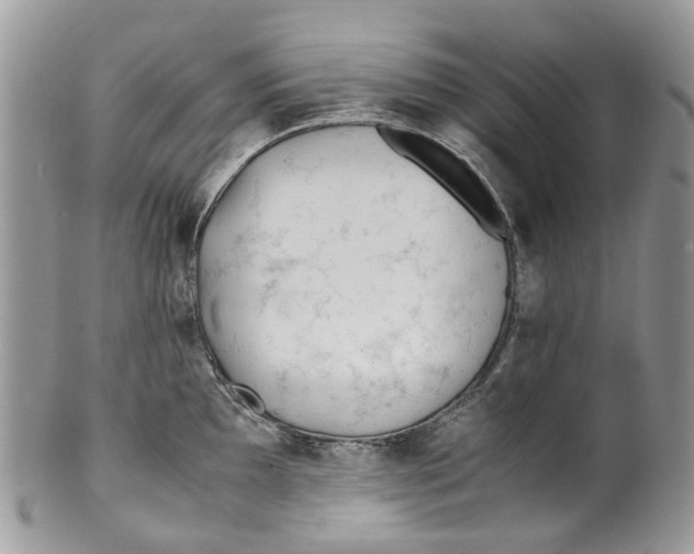 X0000099511097200806051141