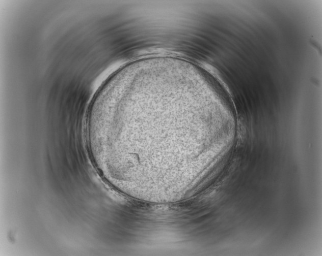 X0000099511098200806051141