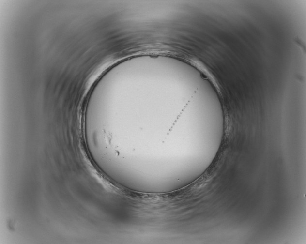 X0000099511099200806051141