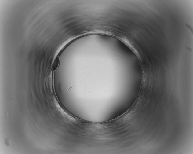 X0000099511100200806051141