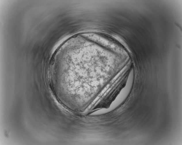 X0000099511101200806051141