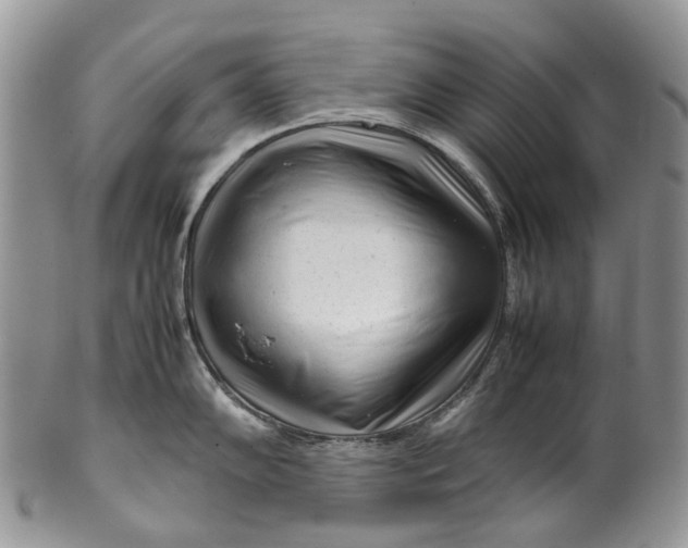 X0000099511102200806051141