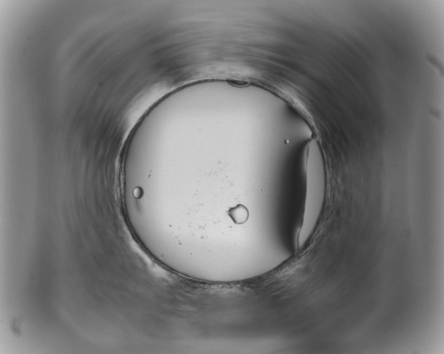 X0000099511103200806051141