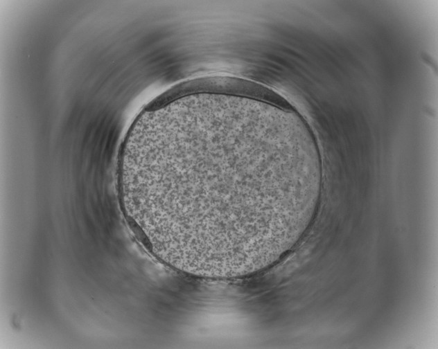 X0000099511104200806051141