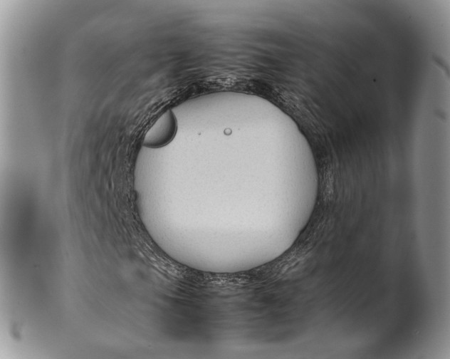 X0000099511105200806051140