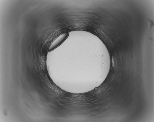 X0000099511107200806051140