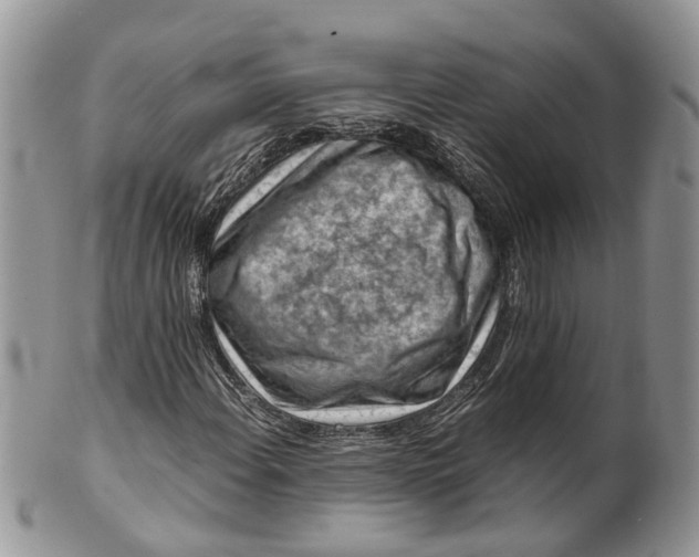 X0000099511108200806051140