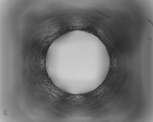 X0000099511109200806051140