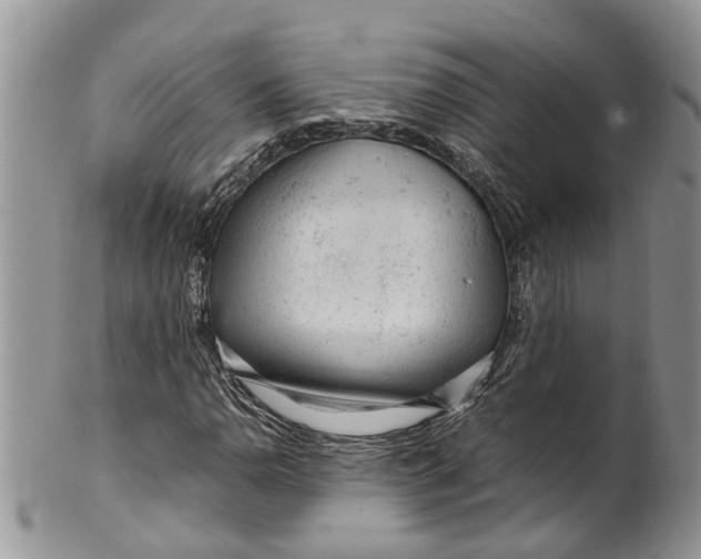 X0000099511110200806051140