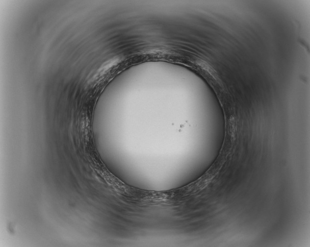 X0000099511111200806051140