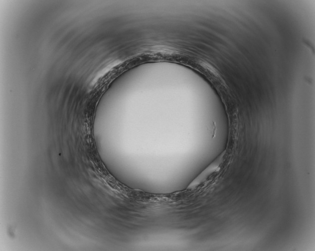 X0000099511112200806051140