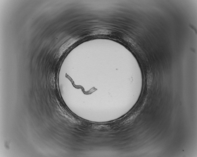 X0000099511113200806051140