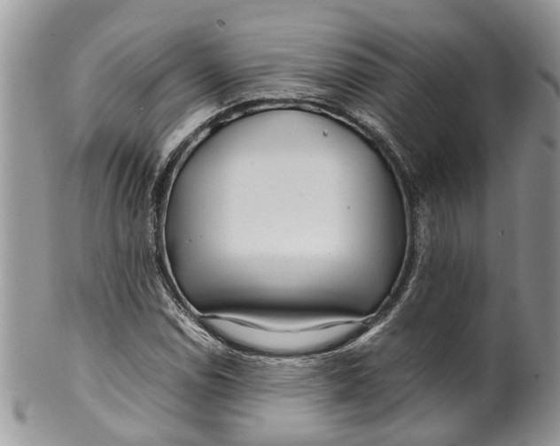 X0000099511114200806051140