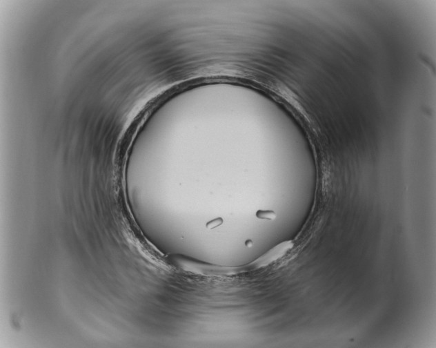 X0000099511116200806051140