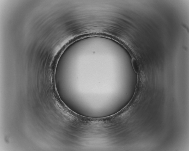 X0000099511118200806051140