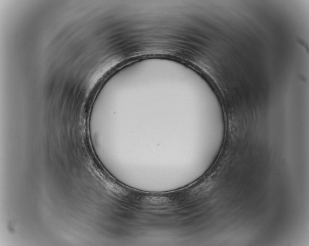 X0000099511119200806051140