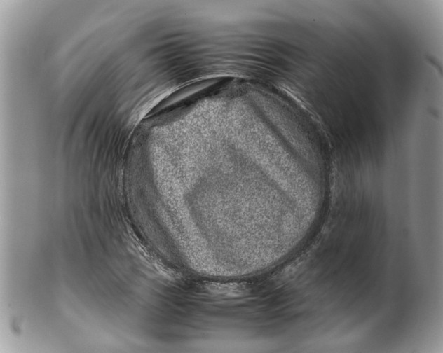 X0000099511121200806051140