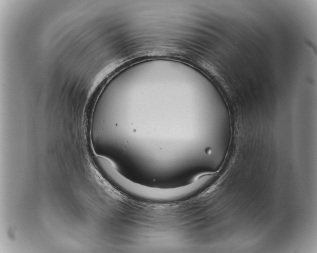 X0000099511122200806051140