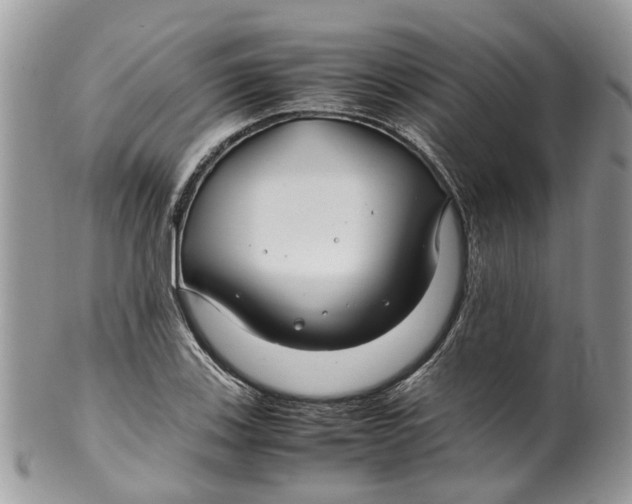 X0000099511123200806051140