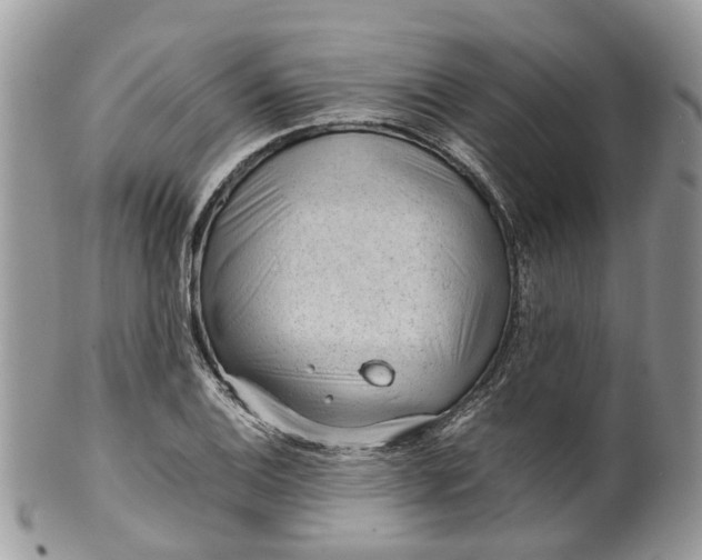 X0000099511124200806051140