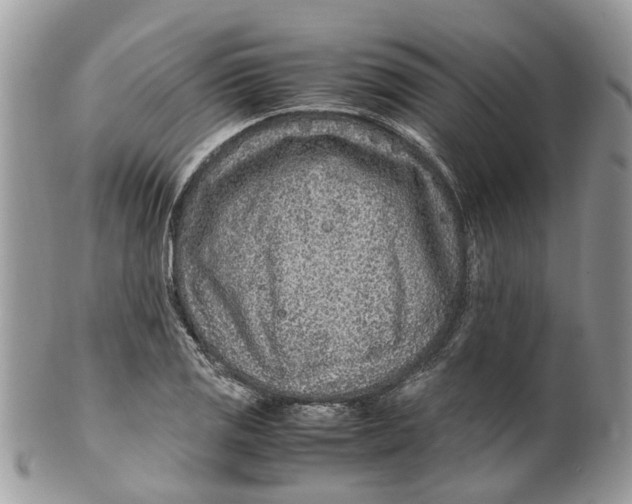 X0000099511125200806051140