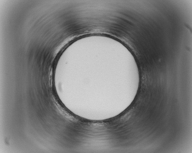 X0000099511126200806051140