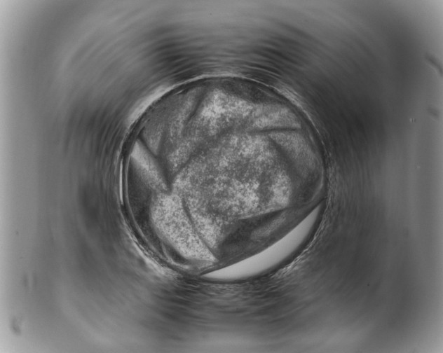 X0000099511127200806051140