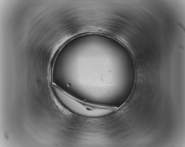 X0000099511128200806051140