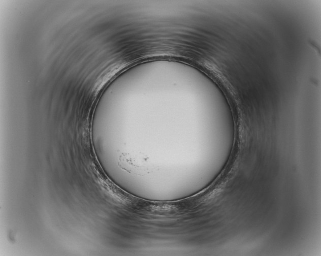 X0000099511129200806051140