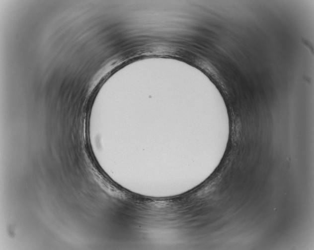 X0000099511130200806051140