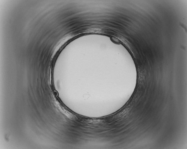 X0000099511131200806051140